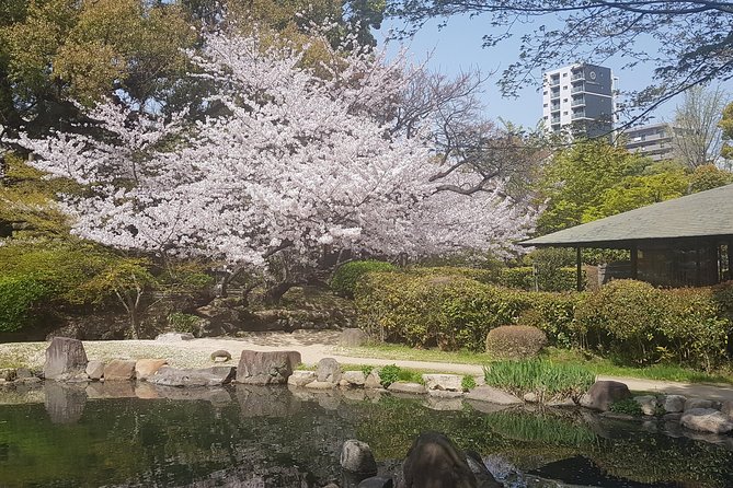 Osakas Best and Brightest by Private Vehicle - Common questions