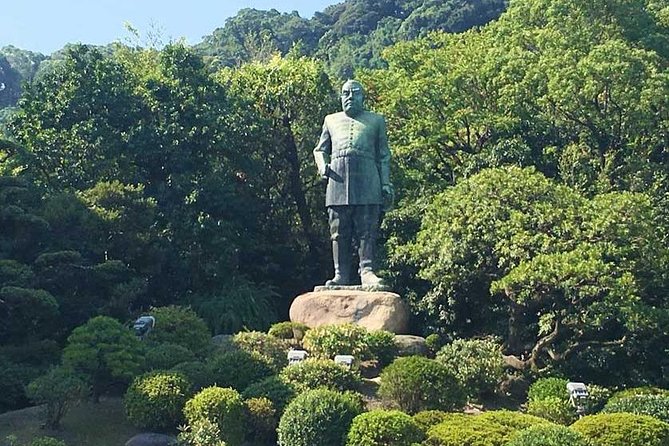 Port Pick-Up: Kagoshima Private Tour Licensed Guide＆ Vehicle - Additional Information