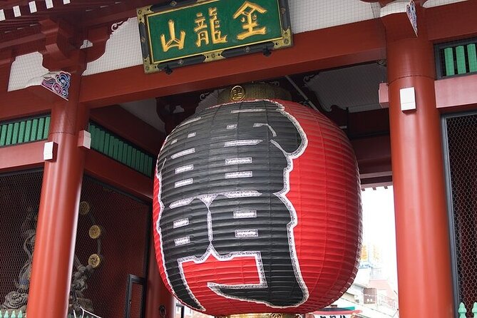 Private Day Tour in Tokyo With Government-Licensed Guide - Transportation and Logistics