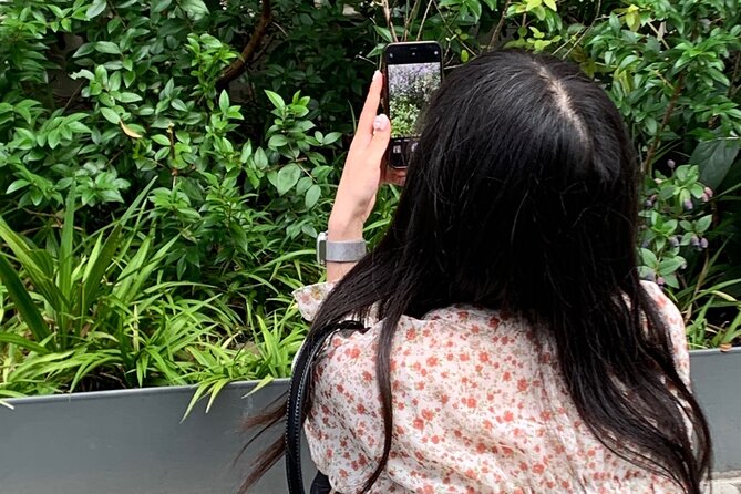 Private Smartphone Photography in Osaka - Copyright and Terms & Conditions