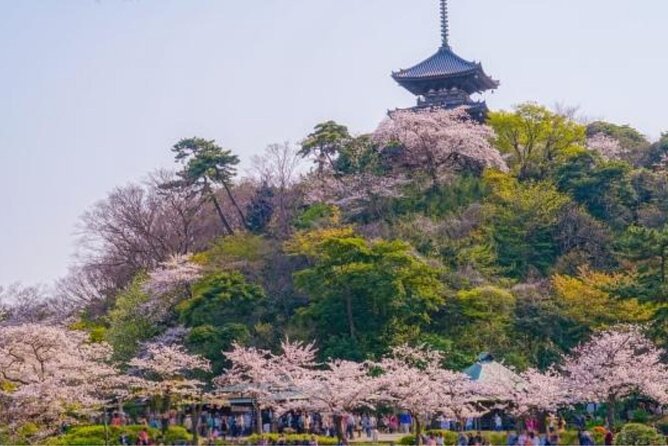 Private Tour Guide Yokohama With a Local: Kickstart Your Trip, Personalized - Traveler Photos Access