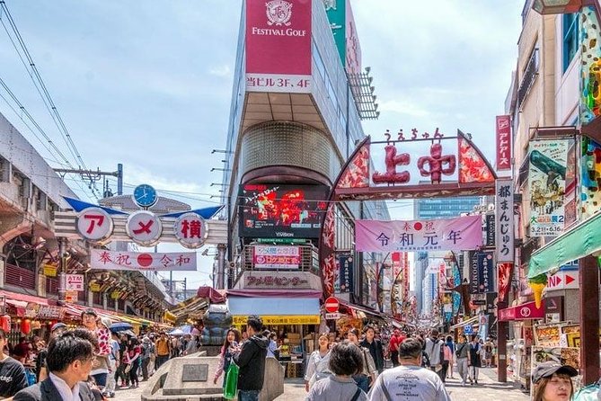 Private Transport 1 Day Tokyo Tour - Additional Options and Fees