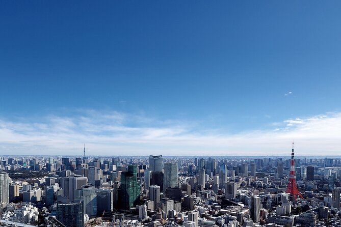 Tokyo 6hr Instagram Highlights Private Tour With Licensed Guide - Additional Information and Resources