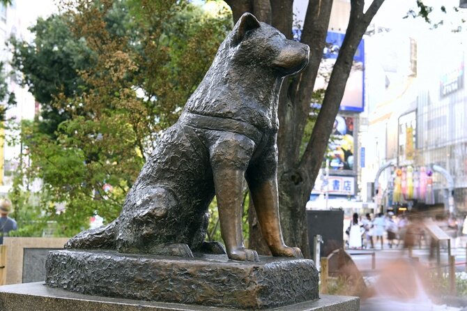 Tokyo 7-Hour Free Choice Tour - The Sum Up