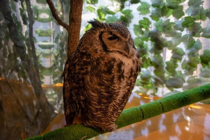 Tokyo Private Custom Tour With Water Bus Ride - Booking Details and Process