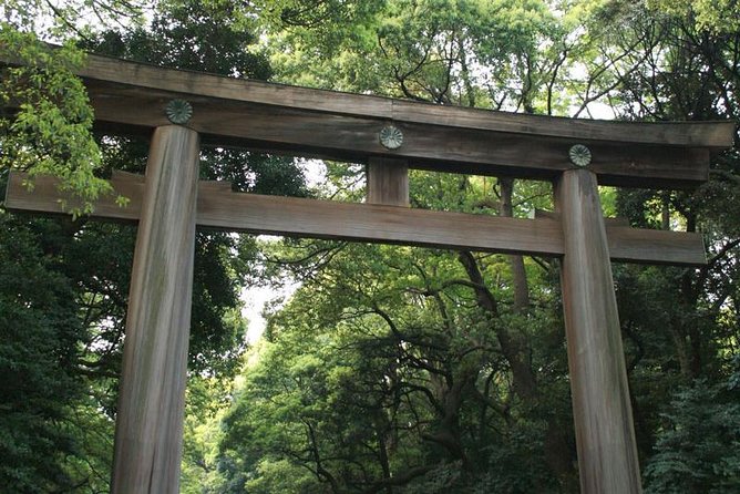 Tokyo Private Tour Using Subway: Discover Traditional and Modern Japan! - Reviews and Ratings From Travelers