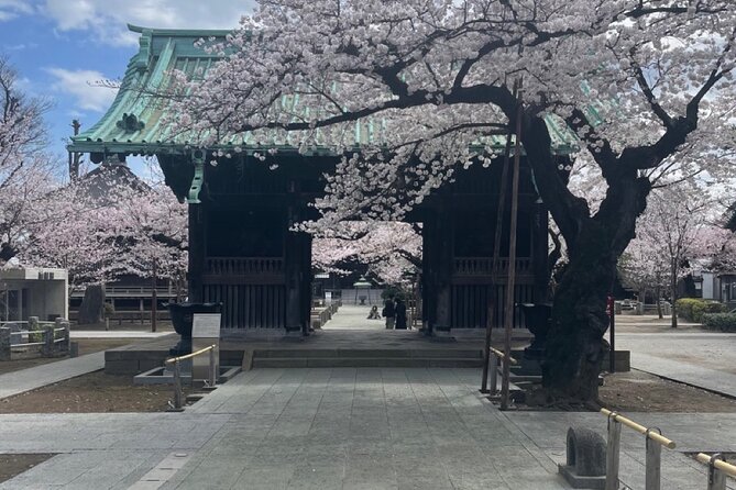 Unlock Tokyo for Your City Private Adventure - Outdoor Activities and Nature Escapes