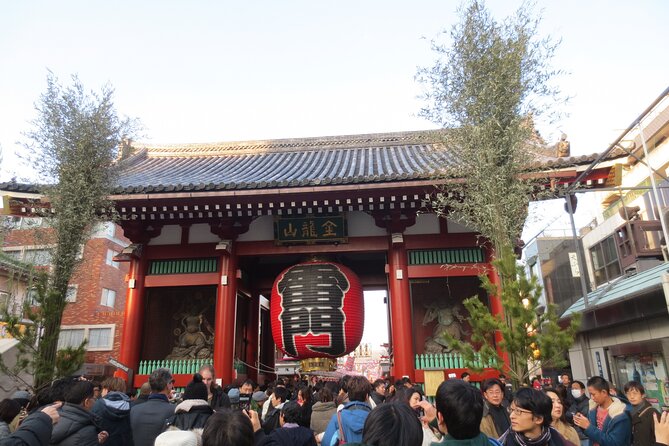 Visit Tokyo City in Group With the Italian Speaking Guide Full Day - Viator Terms & Conditions