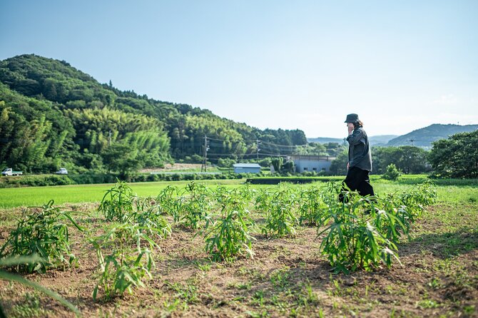 Washi Workshop in Shizenji - Price and Booking Information