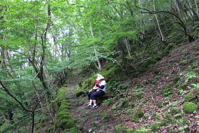 WE LOVE SHINRIN-YOKU Tour (1-Day) - Common questions