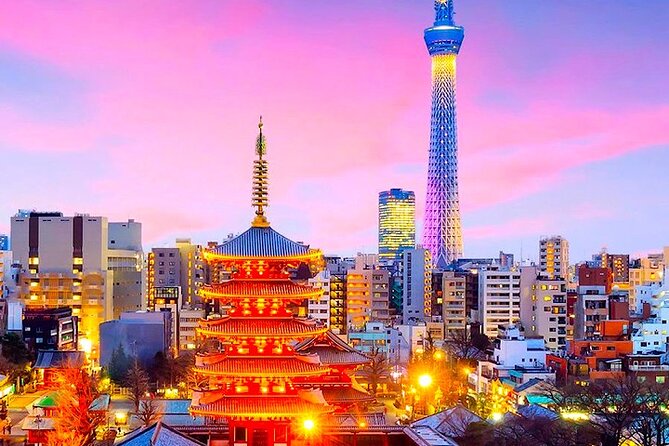 1-Day Private Tokyo Sightseeing Tour With Guide - Important Reminders