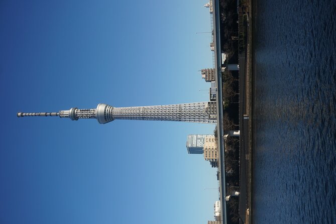 1 Day Tokyo Private Tour With English Speaking Guide - The Sum Up