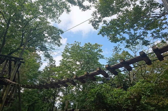 Aerial Athletics (Zipline Adventure) - The Sum Up