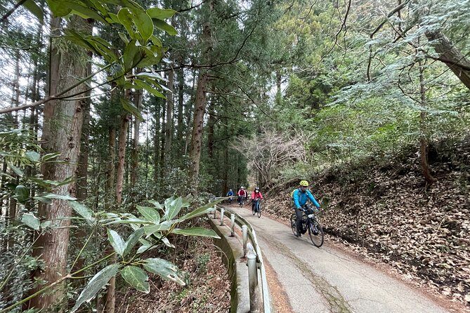 Akagi 100km Circle E-Bike Tour With Onsen Stay - Booking and Reservation Process