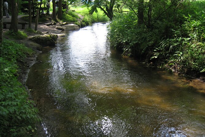 All Must-Sees Tono Private Tour With Government-Licensed Guide - Background