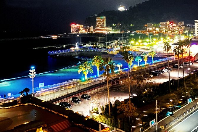 Atami Half-Day Private Tour With Government-Licensed Guide - Weather Refunds