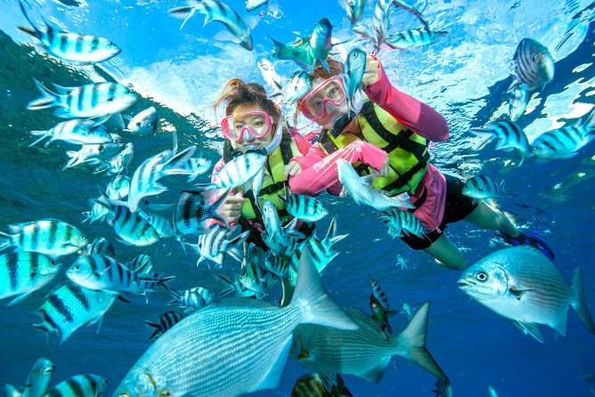 Easily Set Sail by Boat! / Blue Cave Snorkel - Pricing