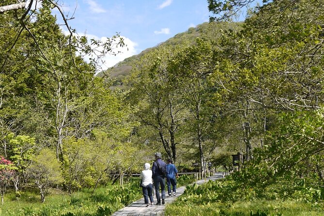 Easygoing Nature Walk in Hakone Tour - Additional Items to Bring