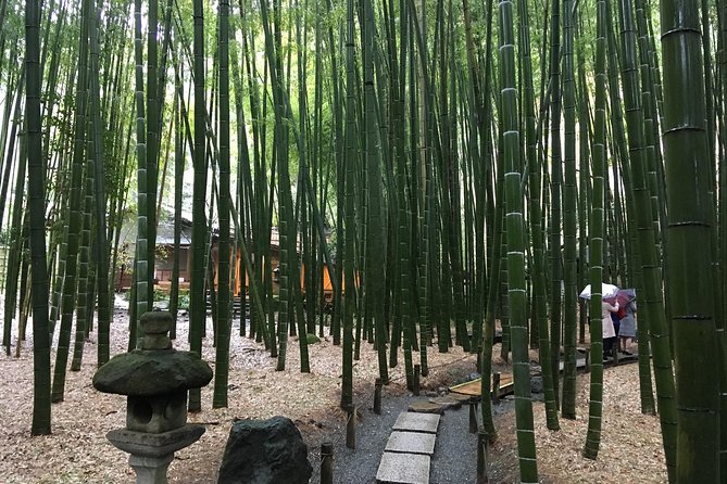 Exciting Kamakura - One Day Tour From Tokyo - Navigating the Train System