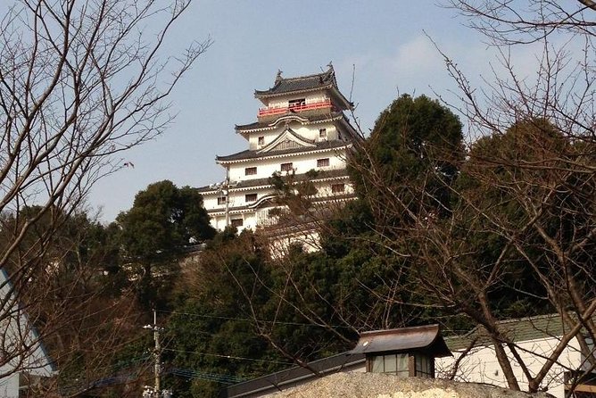 Fukuoka Nature and Cultural Sightseeing Tour - Common questions