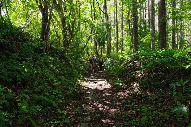 Full Day North Nagano Hiking Experience - Contact and Support