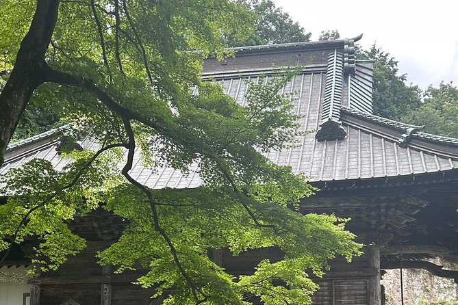 Full-Day Private Tokyo Countryside Tour - Traditional Japanese Culture