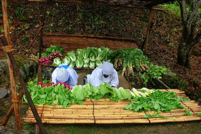 Guided Tour of Hida Folk Village - The Sum Up