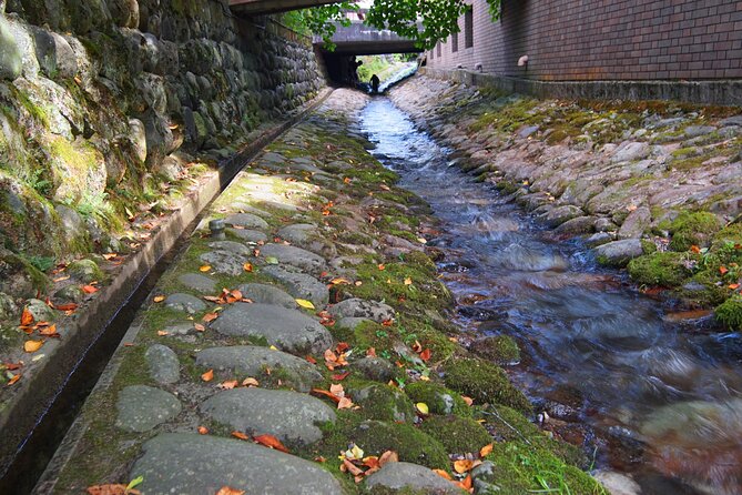 Gujo Hachiman All Must-Sees Full Day Private Tour With Government-Licensed Guide - The Sum Up