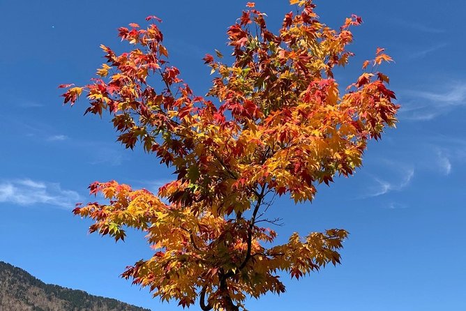 Hiking Ropeway (Special Mountain View!) - The Sum Up