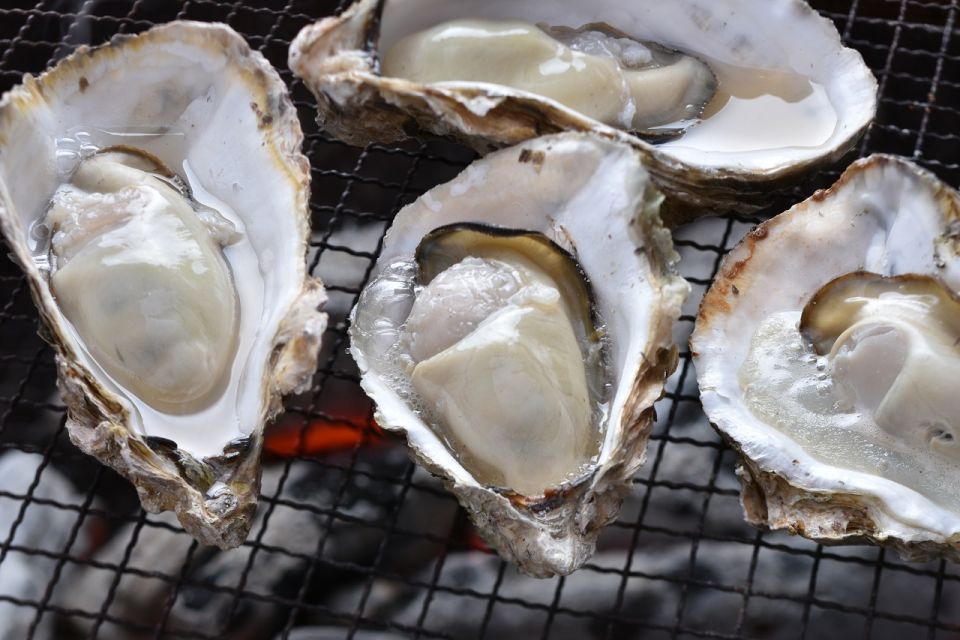 Hiroshima: 1 or 2 Day Car Rental - Additional Information