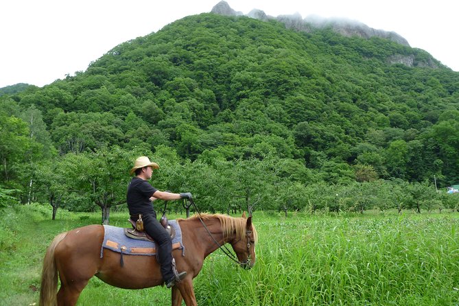Horseback-Riding in a Country Side in Sapporo - Private Transfer Is Included - Scenic Views and Serene Countryside