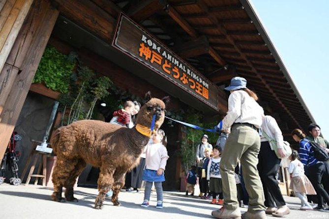 KOBE Custom Tour With Car and Driver (Max 9 Pax) - Common questions