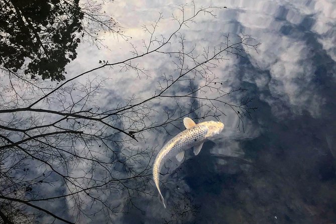 Kyoto: Zen Garden, Zen Mind (Private) - Unwind and Find Inner Peace in Kyotos Zen Gardens