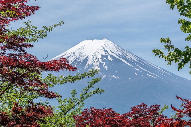 Mount Fuji Day Trip From Tokyo With a Local: Private & Personalized - Tips for a Memorable Day Trip