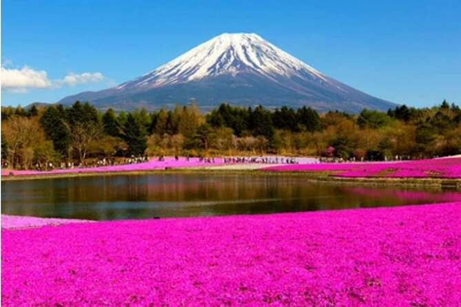 Mt Fuji, Hakone Private Tour by Car With Pickup - Directions and Instructions