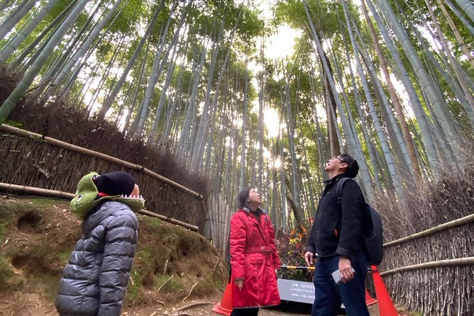 Must See KYOTO Custom Tour With Private Car and Driver - Private Transportation