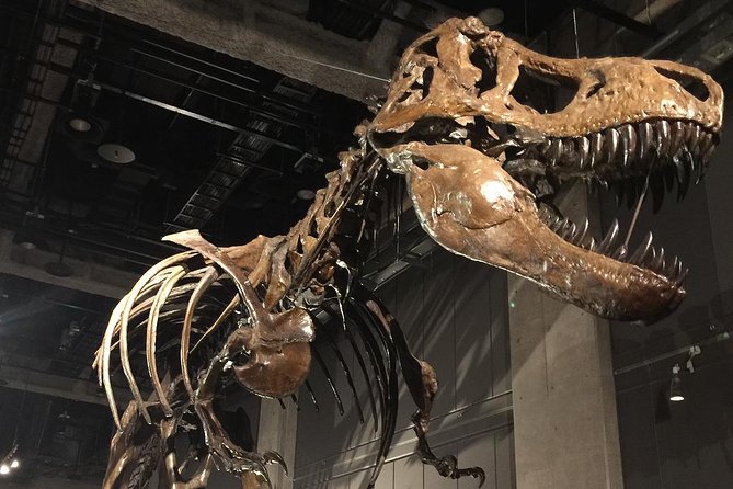 Nagoya / Aichi Full-Day Private Custom Tour With National Licensed Guide - Weather Conditions