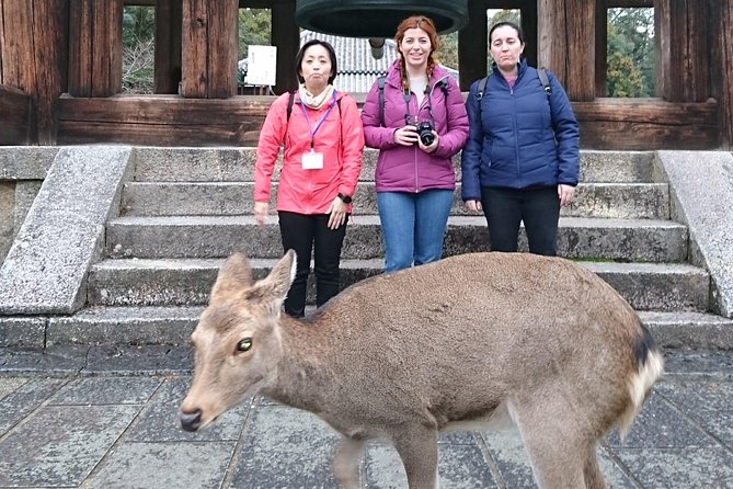 Nara Todaiji Lazy Bird Tour - Sake Brewery Experience