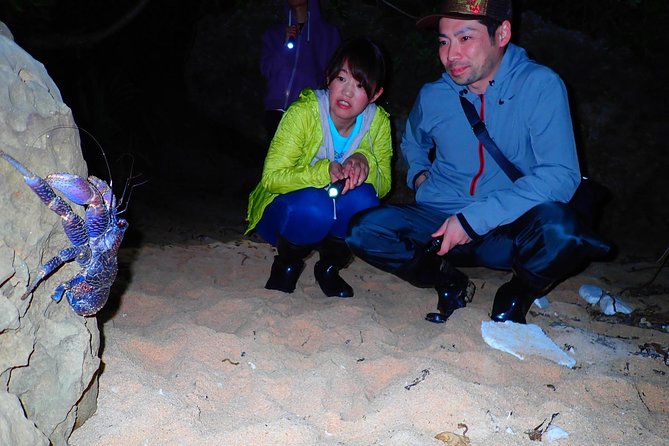 [Okinawa Iriomote] Night Adventure Tour - Customer Reviews