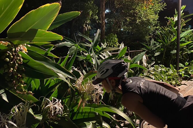 Okinawa Local Experience and Sunset Cycling Tour - Tour Inclusions