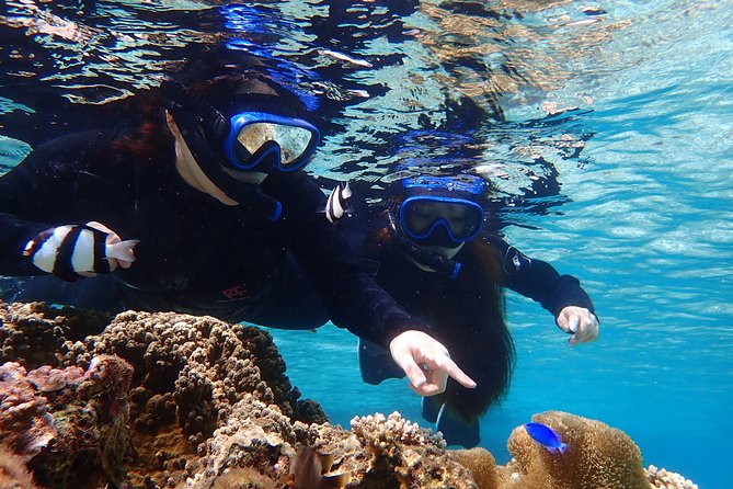 [Okinawa Miyako] 3set! Beach SUP・Tropical Snorkeling・PumpkinLimestone Cave・Canoe - Tour Details and Itinerary: A Day of Excitement