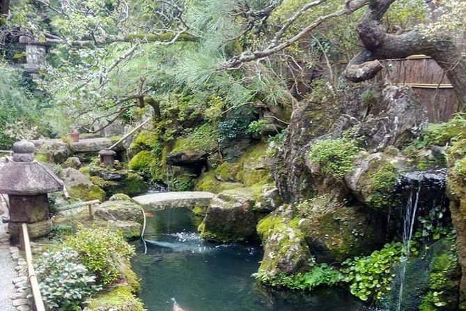 Private Customized 2 Full Days Tour in Kyoto for First Timers - Traditional Culture and Modern City Life