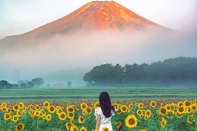 Private Guided MT Fuji and Hakone Full Day Sightseeing Tour - The Sum Up