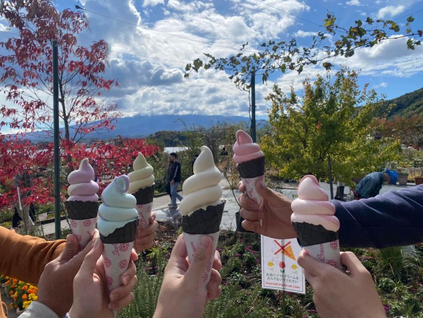 Private Guided Sightseeing Tour To Mount Fuji and Hakone - Frequently Asked Questions