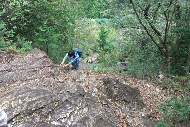 Private Hiking Activity Near Tokyo - Guide Fee