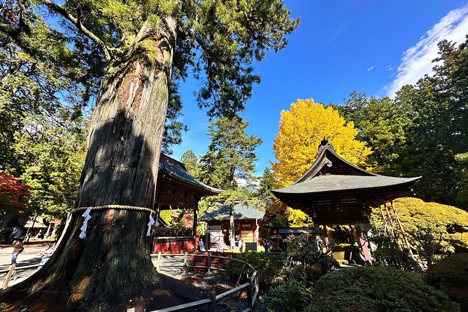 Private Sedan One-Day Mount Fuji Tour - Contact Information