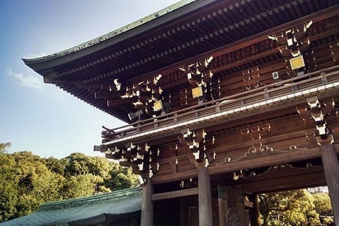 Private Tour Tokyo - the Harmony of Modernity and Tradition - Customizing Your Perfect Tokyo Itinerary