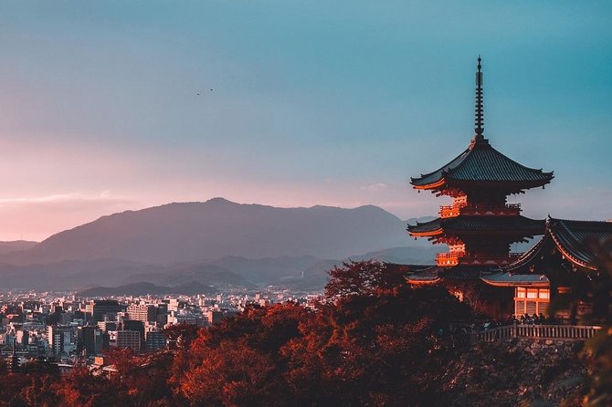 Shore Excursion: Day Trip To Kyoto From Osaka Port - Tips for a Memorable Day Trip Experience in Kyoto
