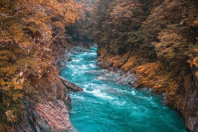 Snow Monkey, Zenko Ji Temple, Sake in Nagano Tour - Scenic Views and Nature Walks