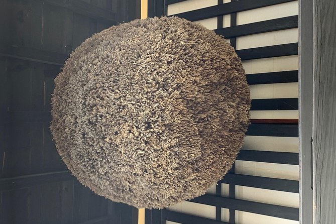 Takayama Walking Tour & Hida Folk Village - Additional Information